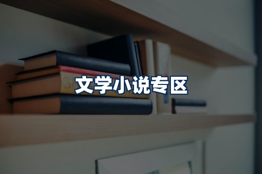 文学小说PDF展示
